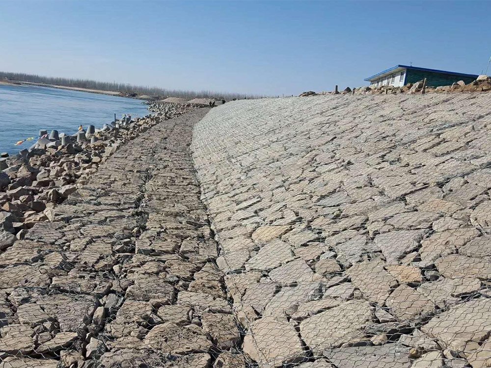 金華高爾凡雷諾護墊